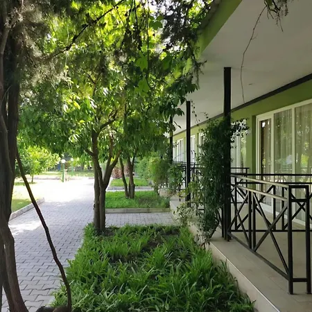 Arbor Vitae Beldibi Bahcecik
