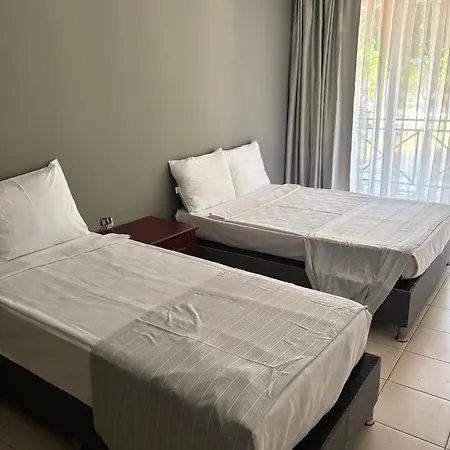 Arbor Vitae 4*
